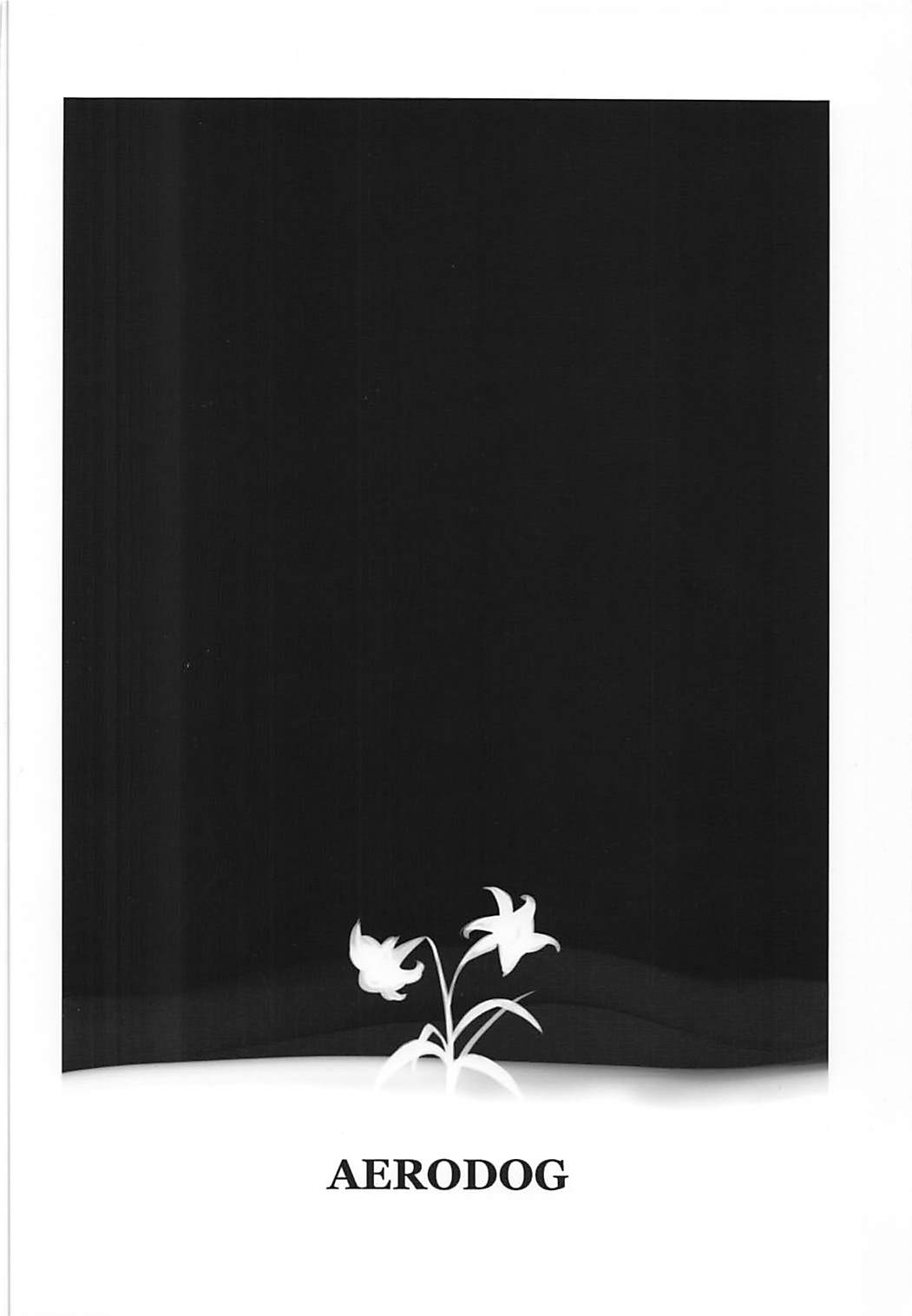 (C89) [AERODOG (inu)] 冬に咲く百合 (艦隊これくしょん -艦これ-)