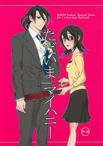 (C75) [B8 (チョキ)] ただいまマイハニー (ブリーチ)