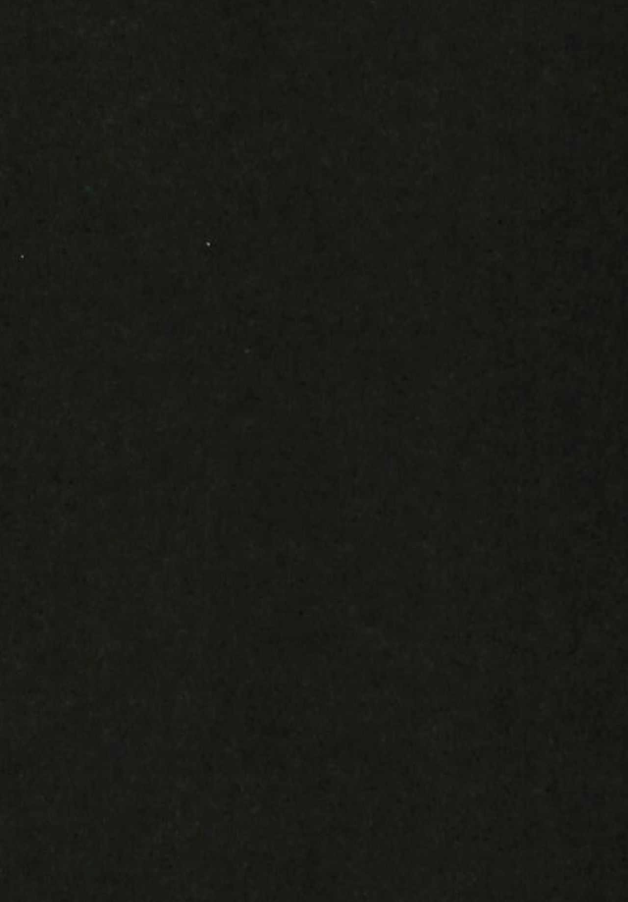 (C93) [ベイコン (米獣)] サラブレッドアーリーデイズ (けものフレンズ)