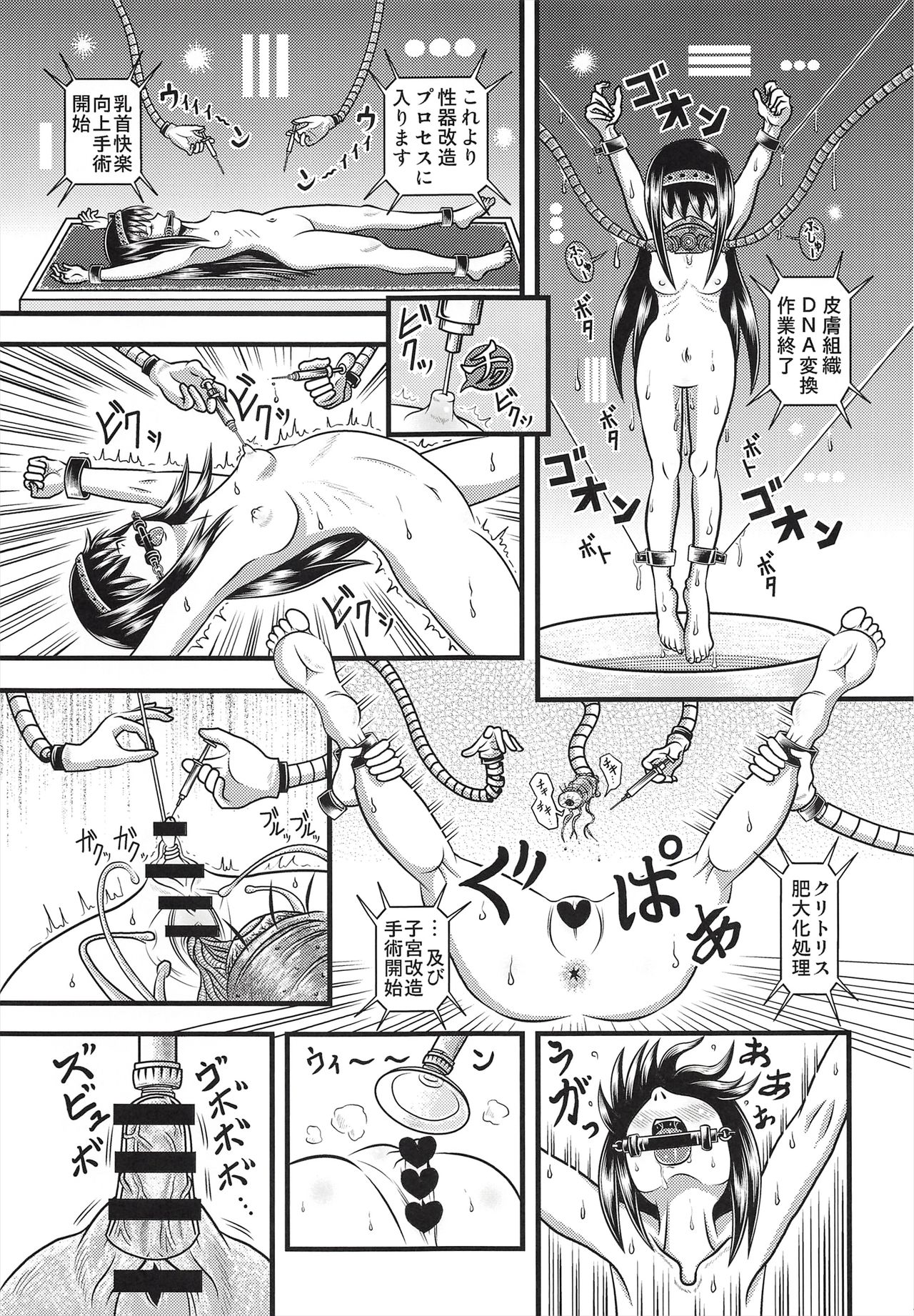 (C91) [千年狼 (いんがもるぐ)] 改造ほむほむ (魔法少女まどか☆マギカ)