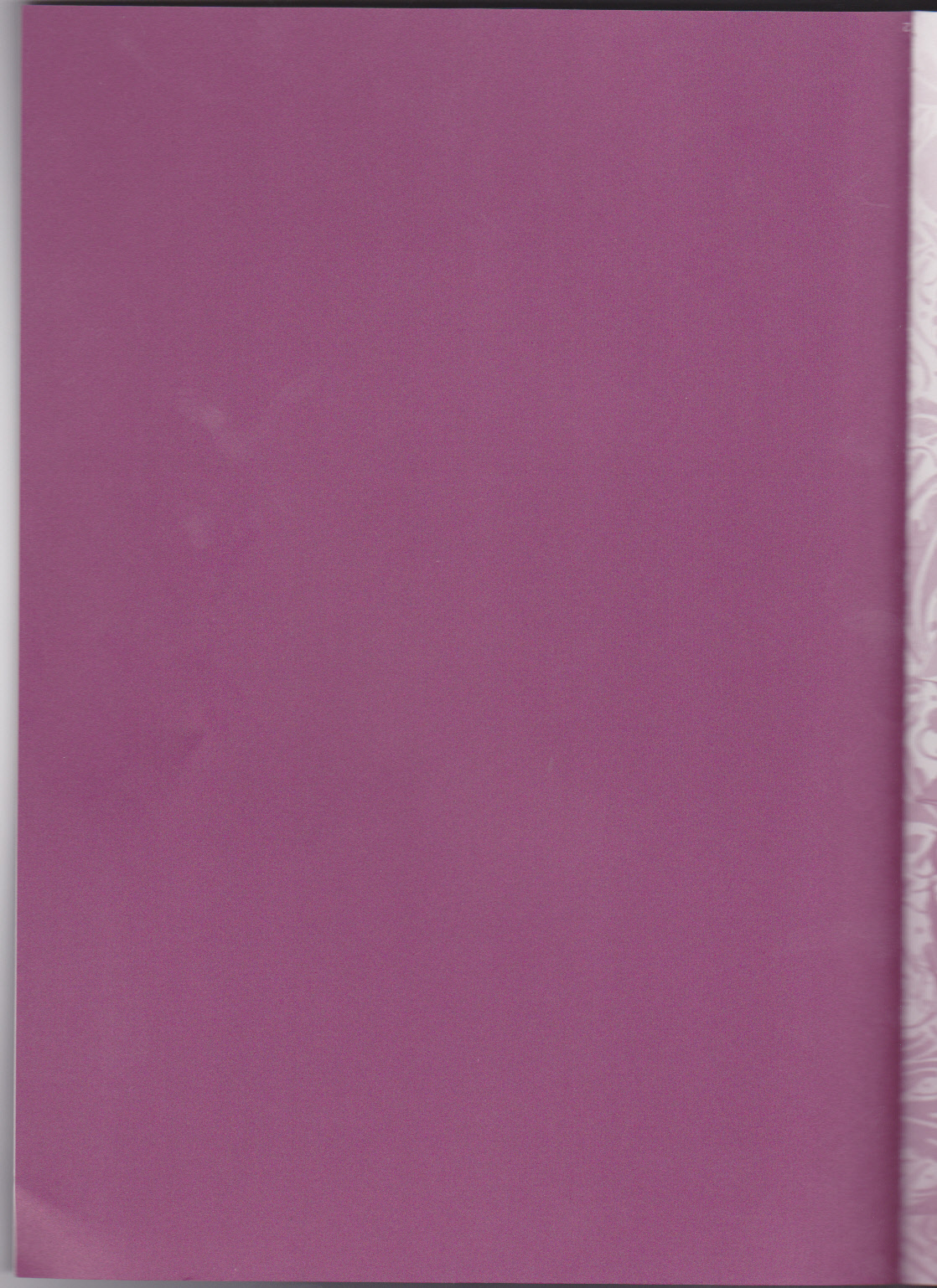 (C66) [LOLIPOP (武若丸)] 種蒔き学園生徒会執行部 (機動戦士ガンダムSEED)