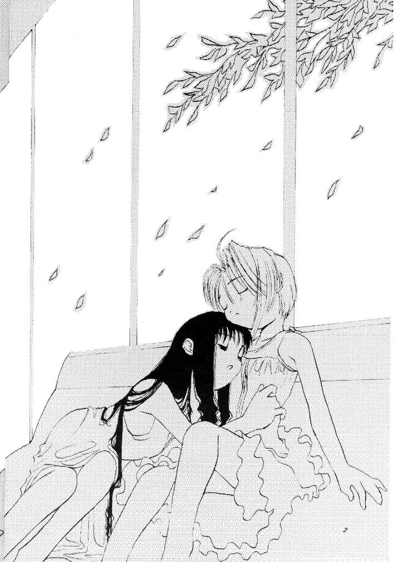 (C54) [直道館 (ホルモン恋次郎、MARCYどっぐ、矢野たくみ)] Please Teach Me (カードキャプターさくら)