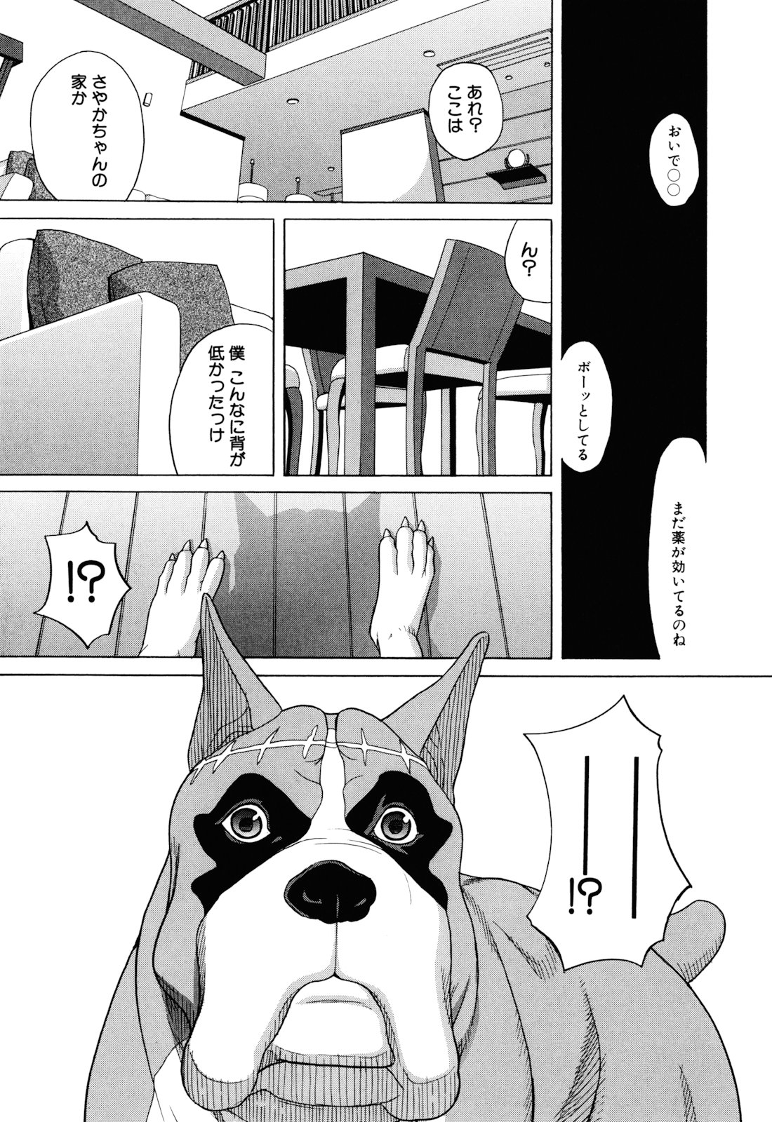 [ZUKI樹] 犬の生活