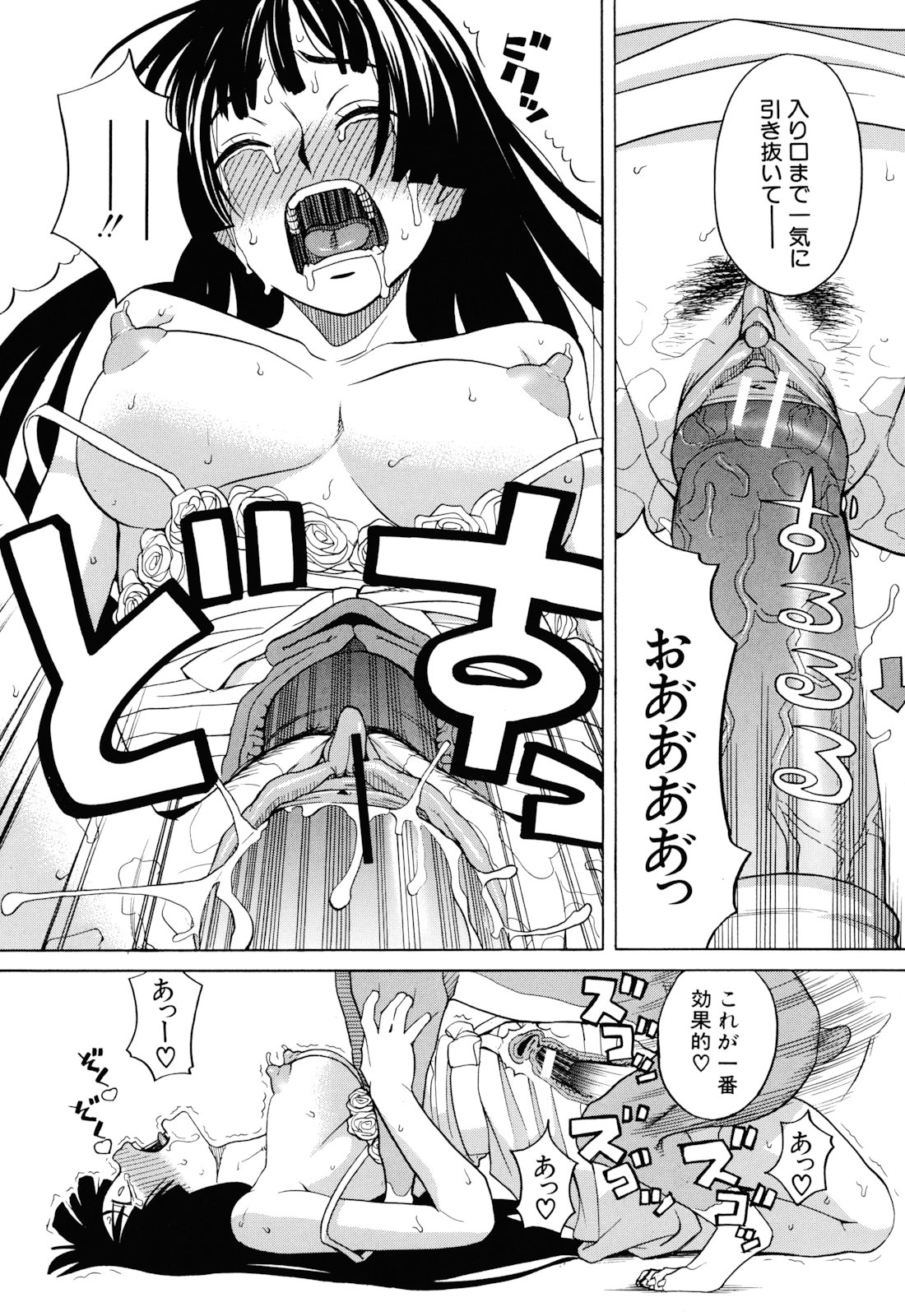 [ZUKI樹] 犬の生活