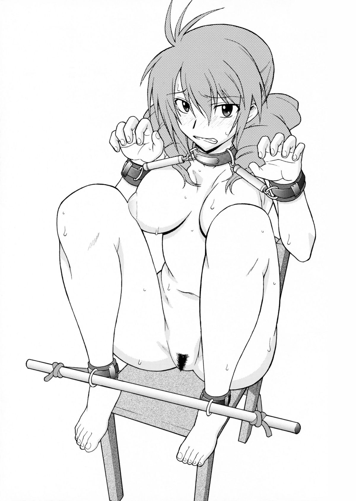 (COMIC1☆2) [集団暴力 (むらさき朱)] Lost My Career (機動戦士ガンダム00)