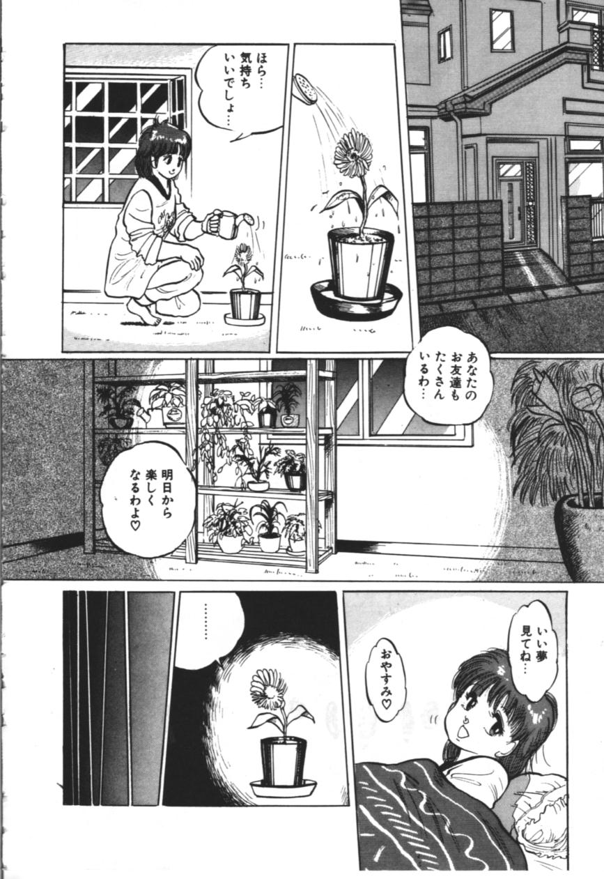 [万利休] MORBID PARTY -病的な宴-