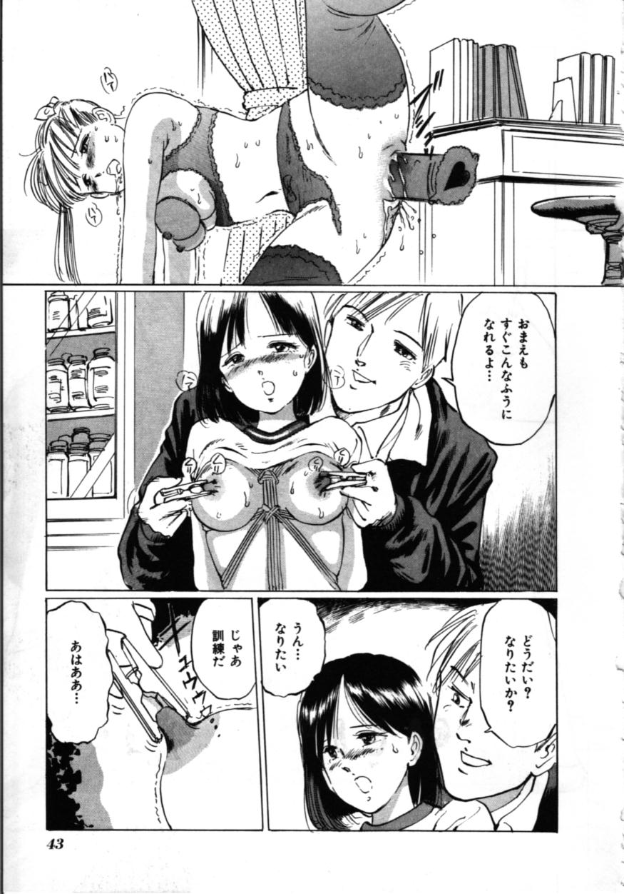 [万利休] MORBID PARTY -病的な宴-