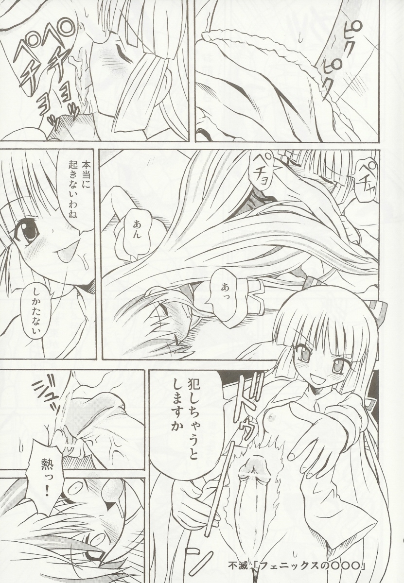 (C69) [高久屋 (高久としひこ)] 東方妖女乱舞5 (東方Project)