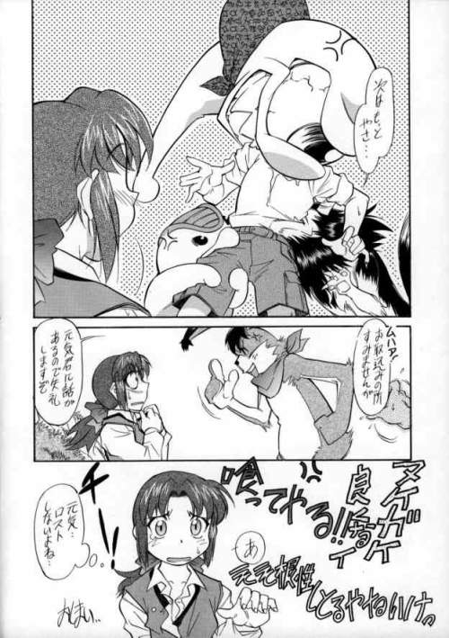 (C67) [自爆メカ (田野弘高, かねことしあき)] ひきにげぼくじょう (モンスターファーム)