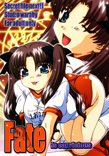 (C67) [スタジオ・ワラビー (鷹那優輝)] SECRET FILE NEXT 11 (Fate/stay night)
