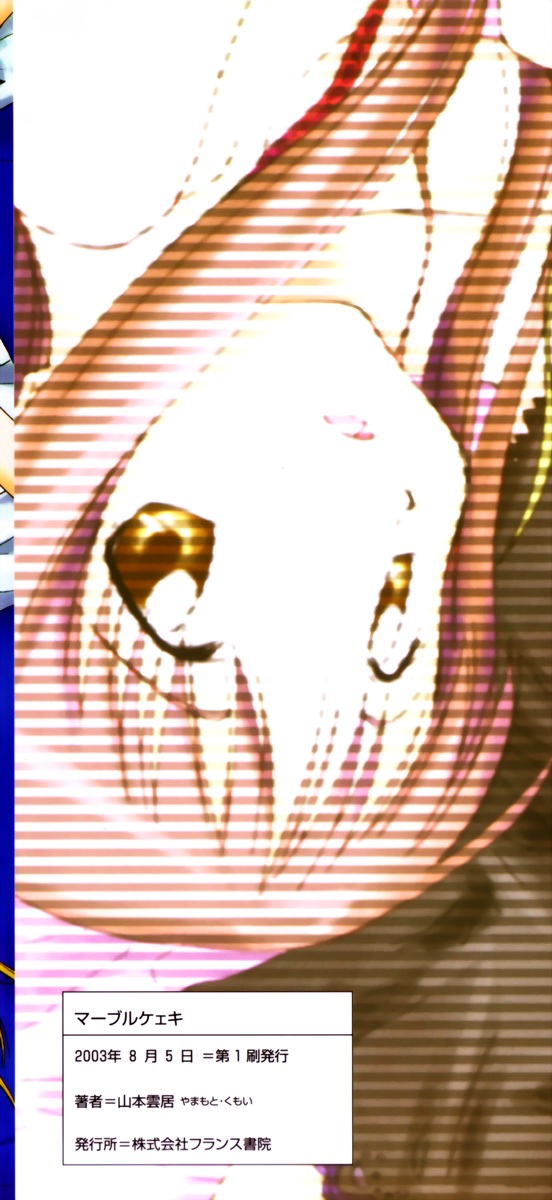 [山本雲居] マーブルケェキ