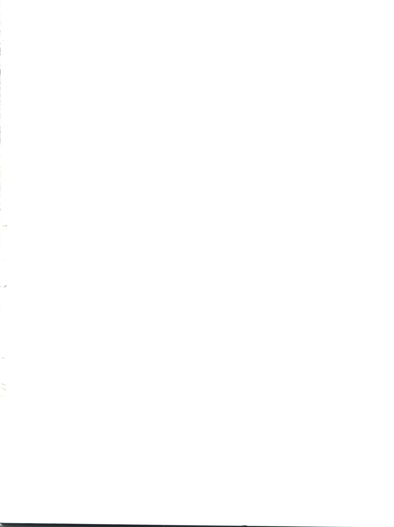 (C42) [チームプラスY (よろず)] プラスY VOL.9 (よろず)