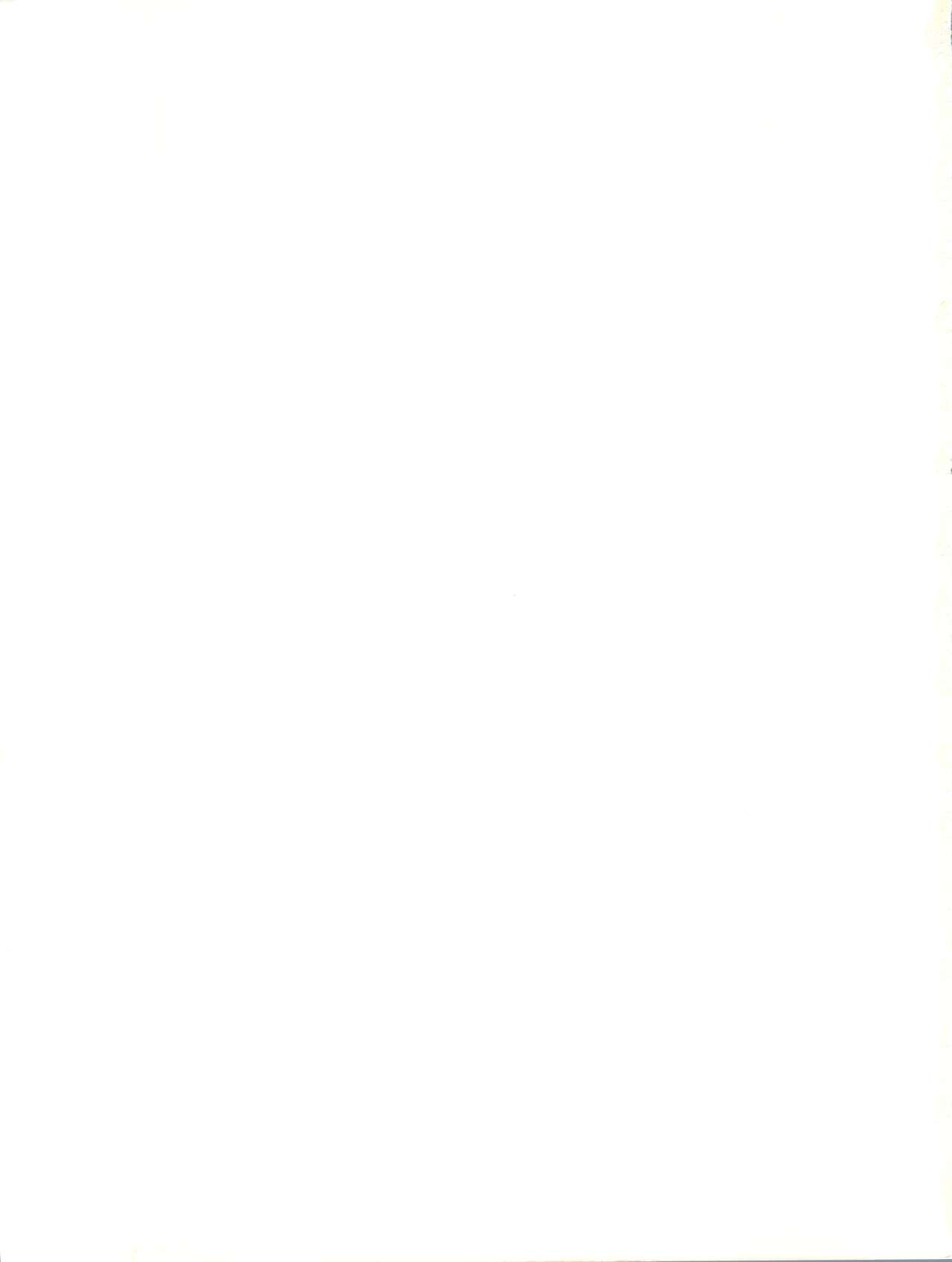 [ししゃもハウス (あらきあきら)] Elfin R (ふしぎの海のナディア、GS美神 極楽大作戦!!、新世紀GPXサイバーフォーミュラ、チンプイ)