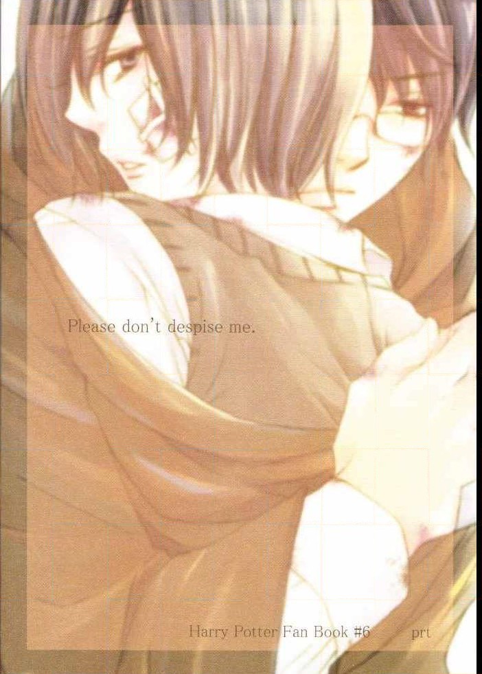 ハリーポッターdj-世界