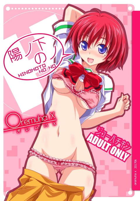 日野本のいいえ