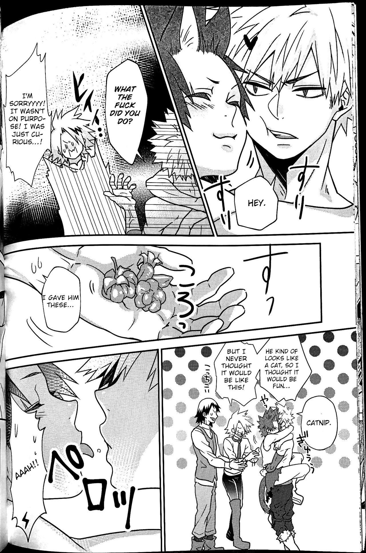 分離された陶酔感