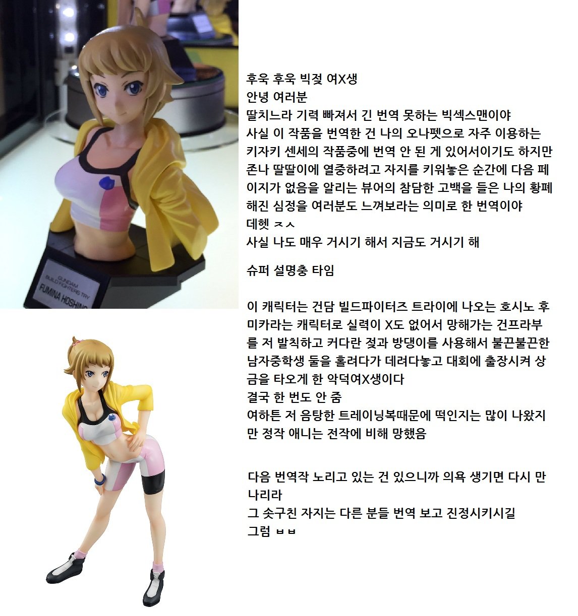 フミナ先輩ボン