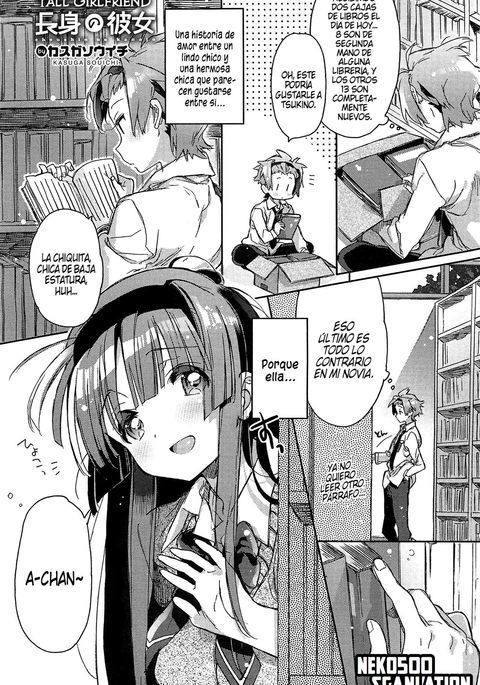 ちょうしんの狩野城|背の高いガールフレンド