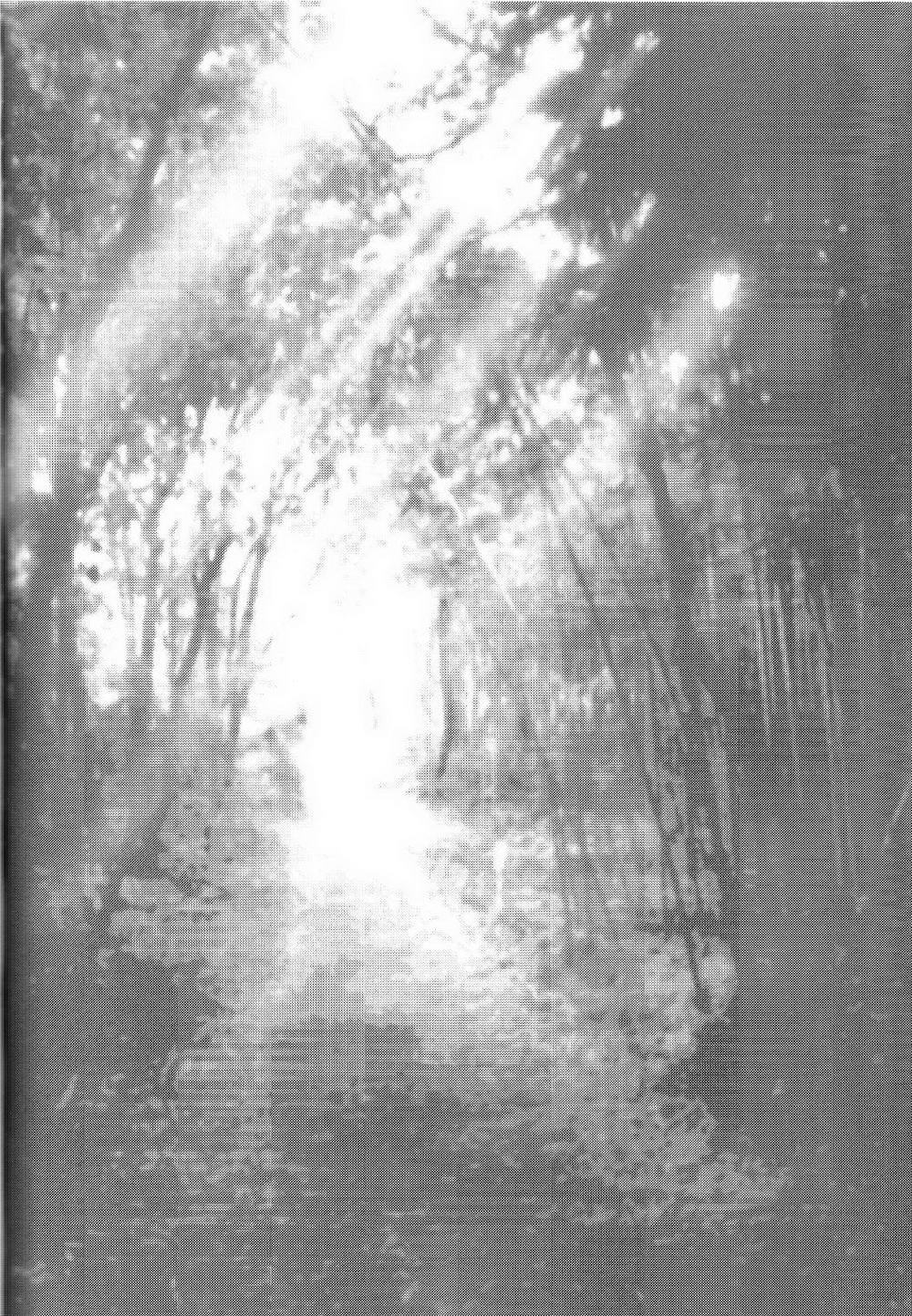 夜はみじかし小星代少年