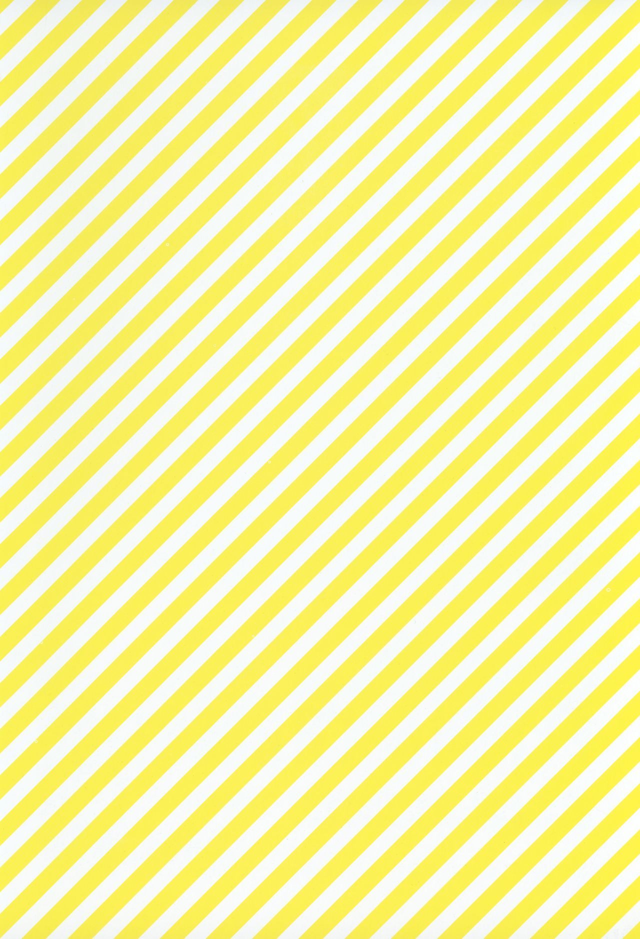 フラッシュバック20081230