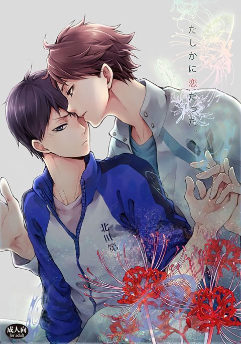 タシカニコイダッタ|きっとそれは愛だった