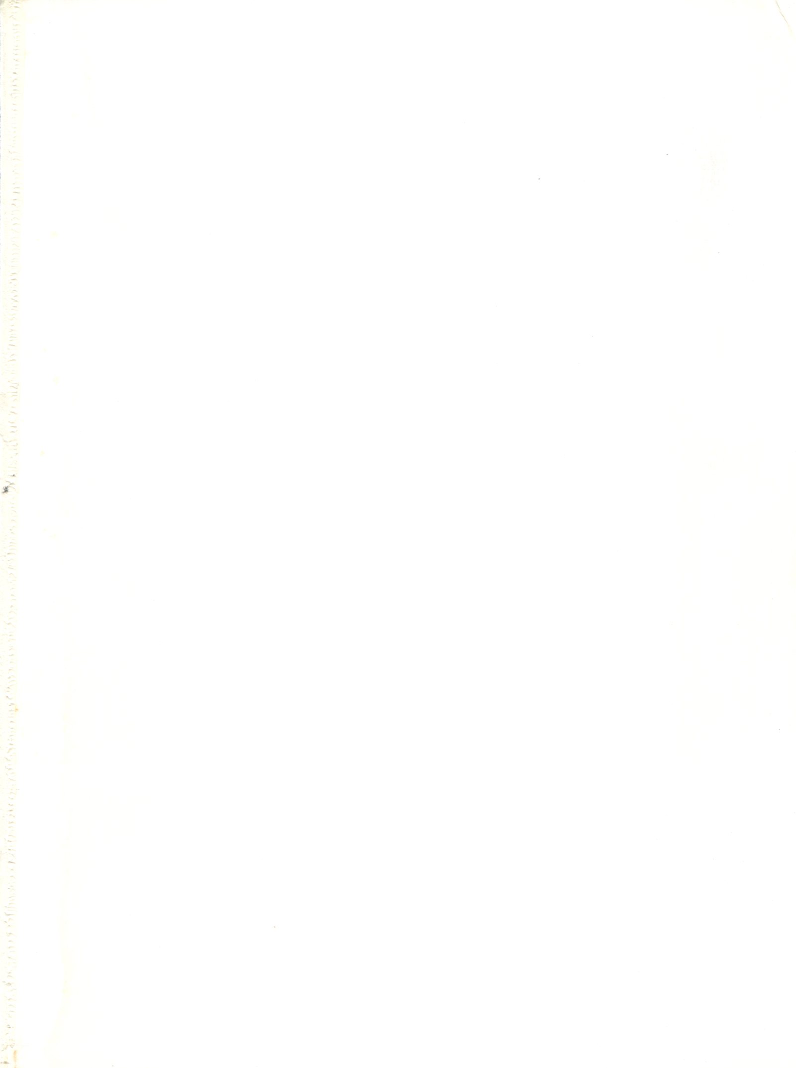 キャプチャされた3