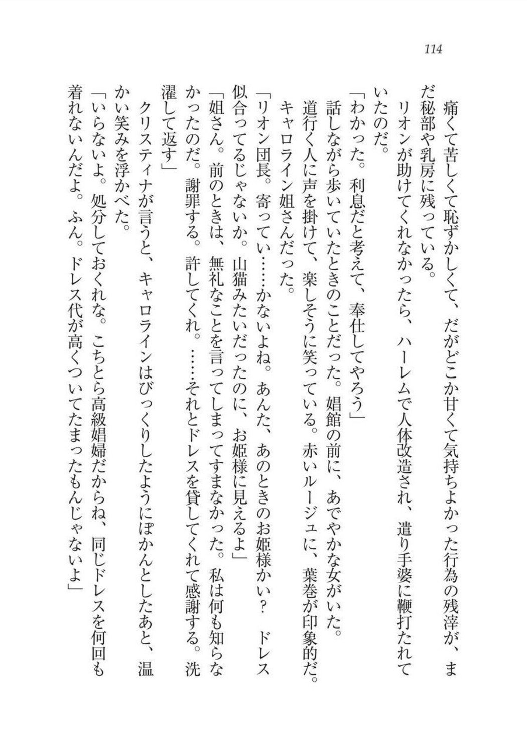 クリスティーナ戦記ほうしの姫岸からコックキョウの少年