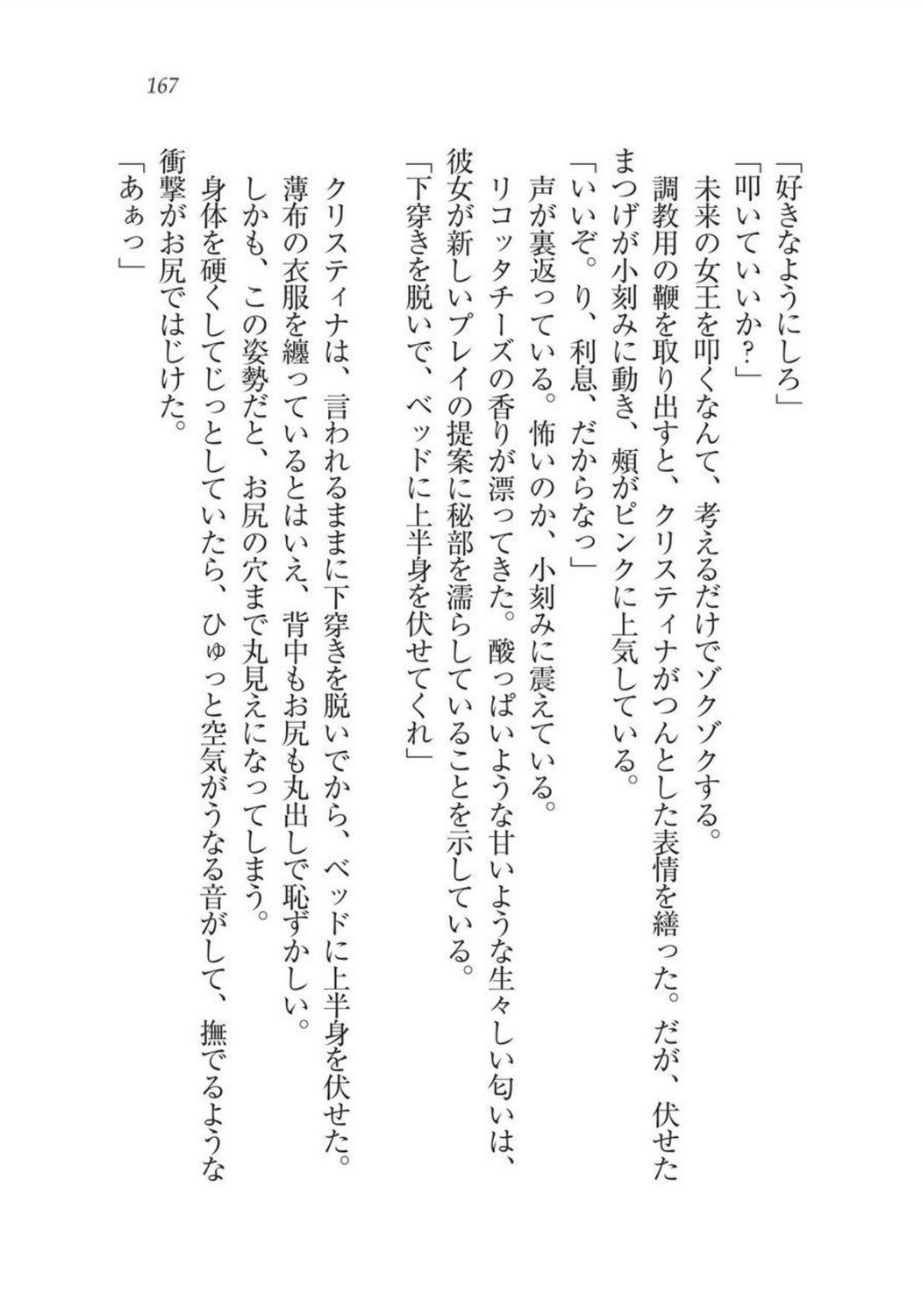 クリスティーナ戦記ほうしの姫岸からコックキョウの少年