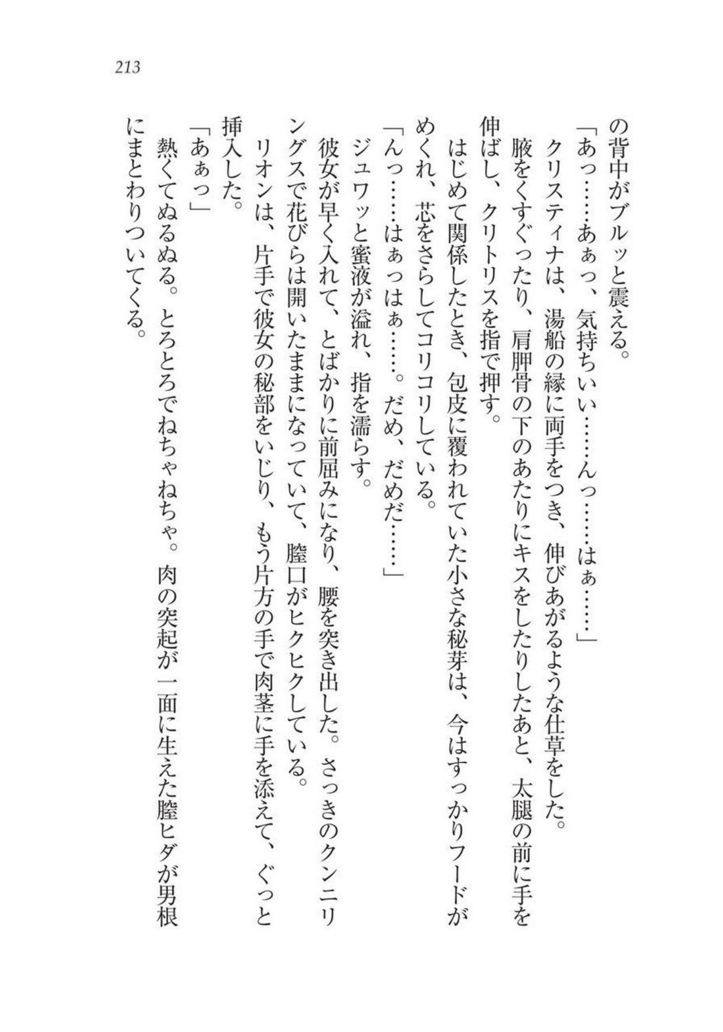 クリスティーナ戦記ほうしの姫岸からコックキョウの少年
