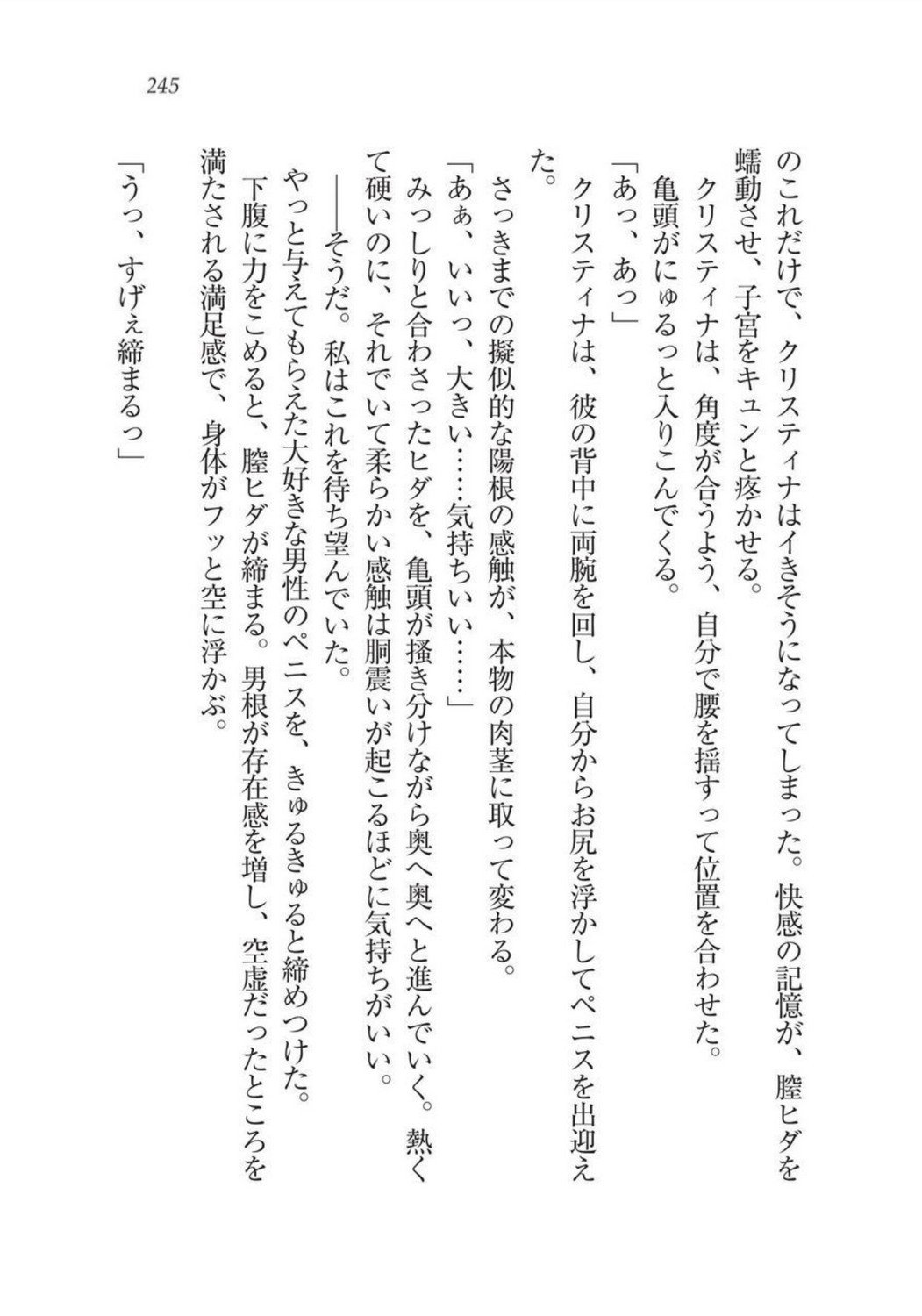 クリスティーナ戦記ほうしの姫岸からコックキョウの少年