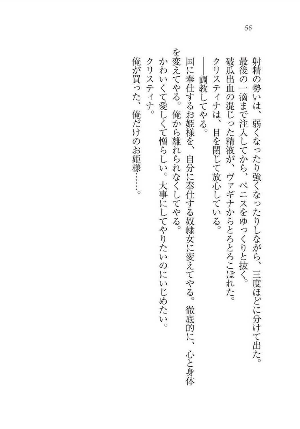 クリスティーナ戦記ほうしの姫岸からコックキョウの少年