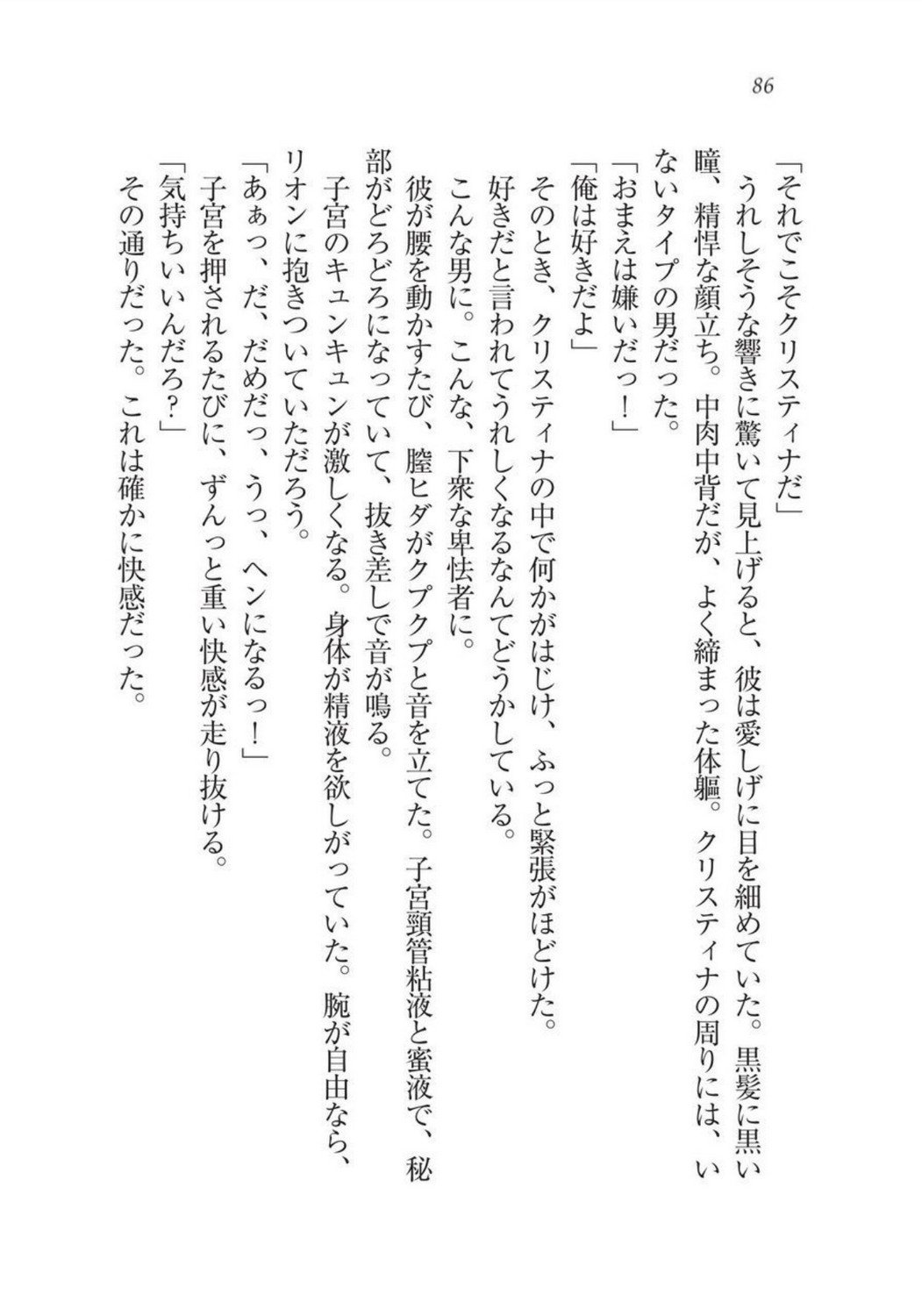 クリスティーナ戦記ほうしの姫岸からコックキョウの少年