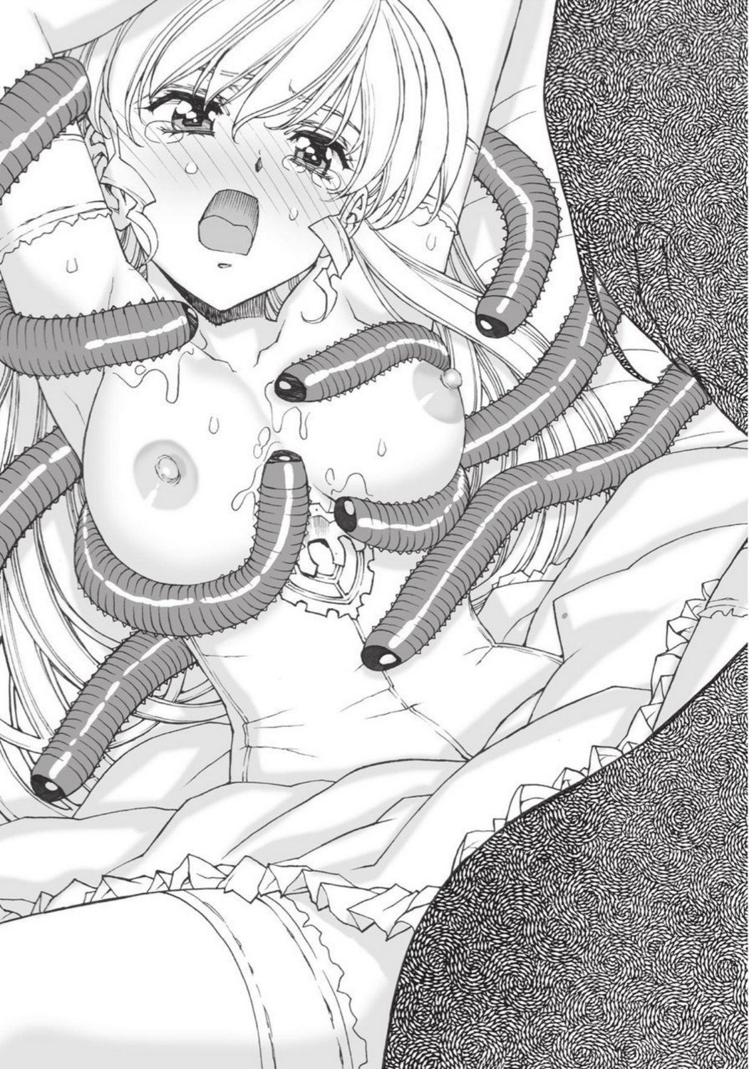 クリスティーナ戦記ほうしの姫岸からコックキョウの少年