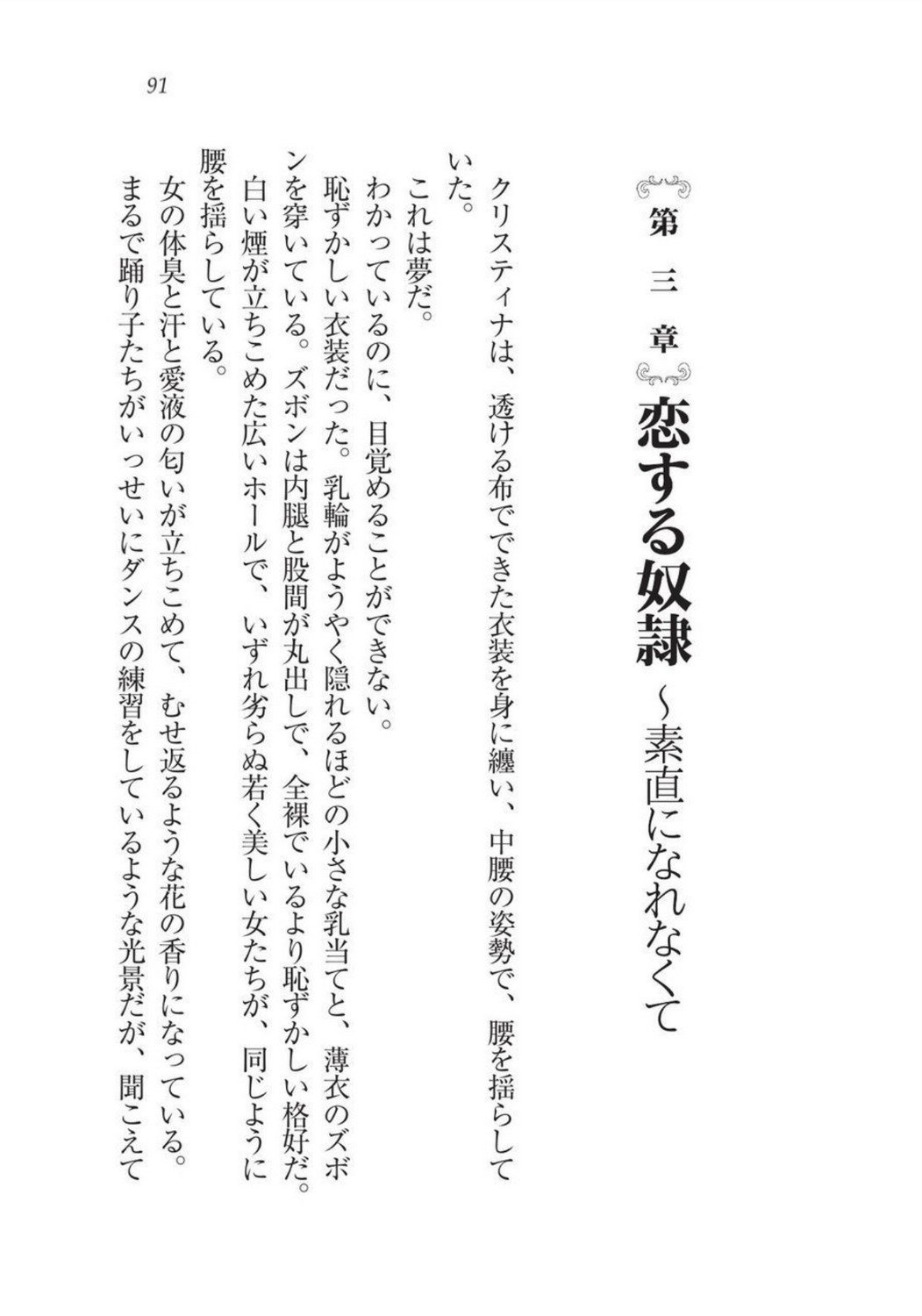 クリスティーナ戦記ほうしの姫岸からコックキョウの少年