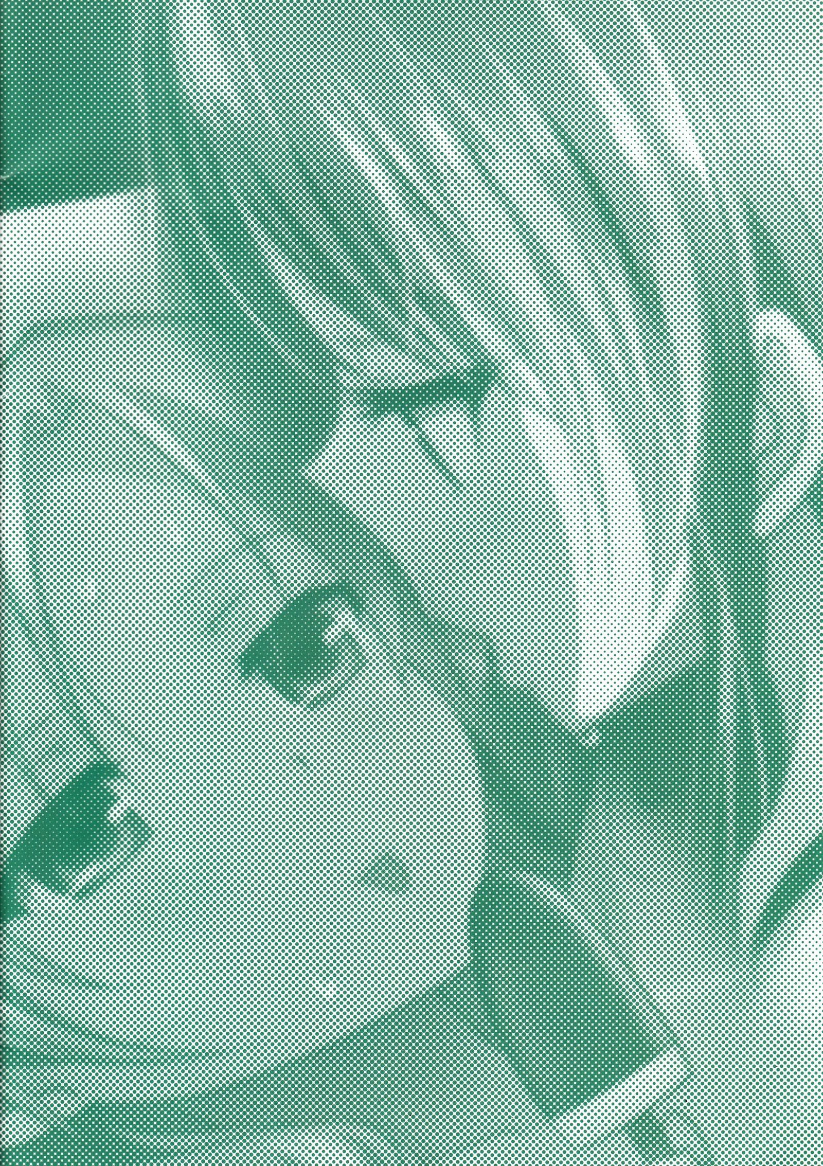 くっつきぼし-夏の尾張に-