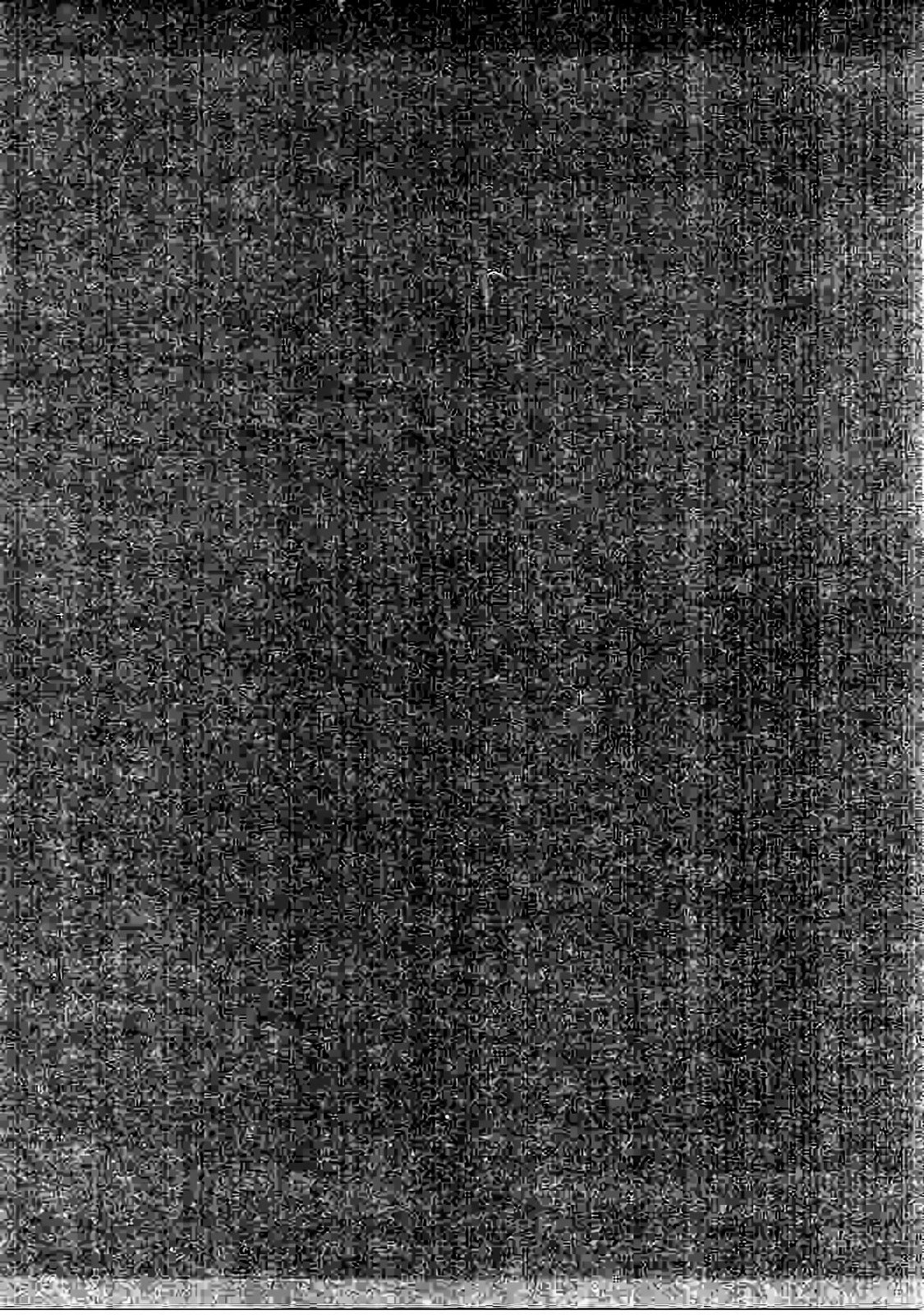 しゃちくちゃんからなまいきしんじん