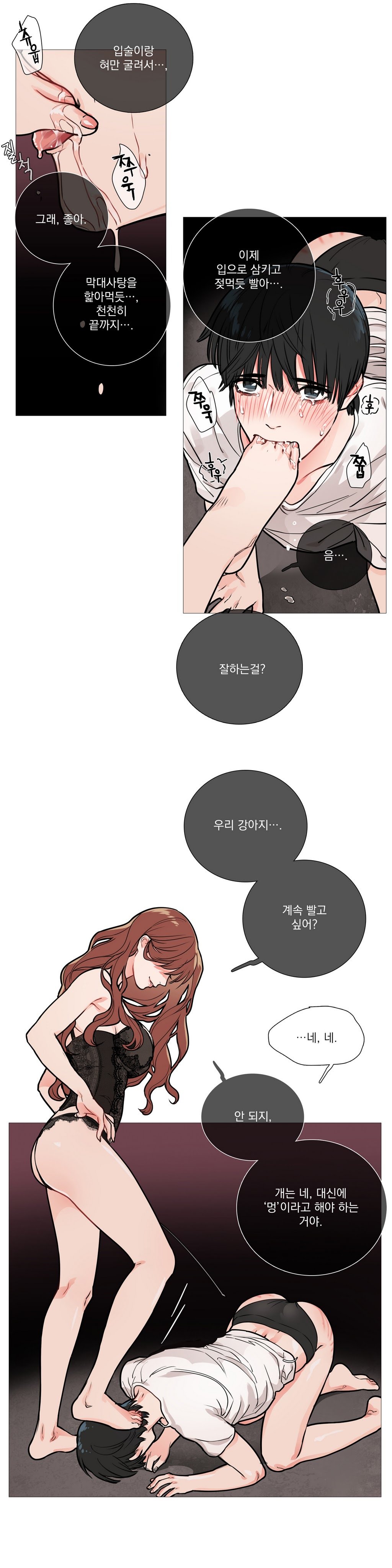 サディスティックビューティーCh.0-30