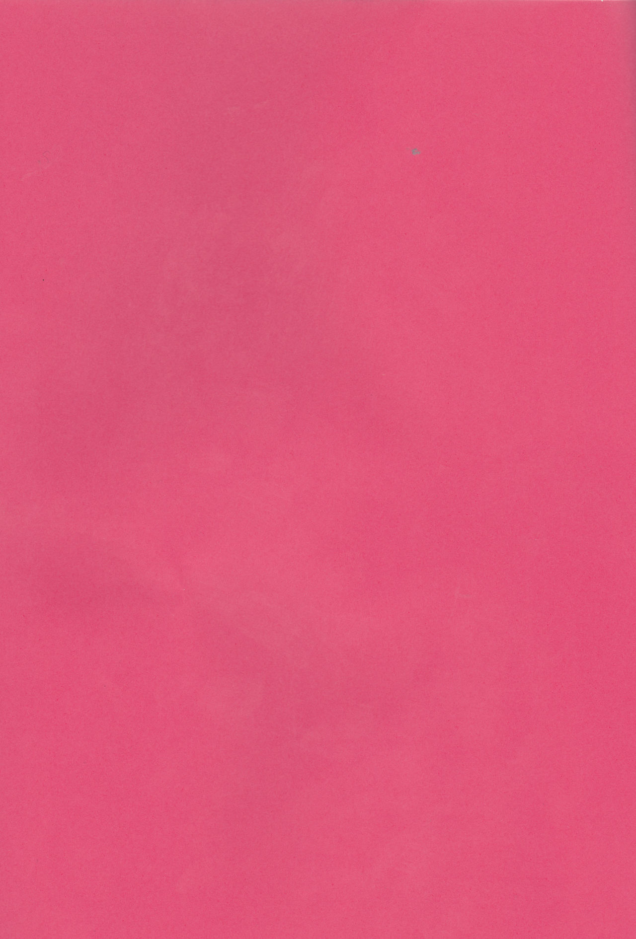 道蔵、おだいじに。