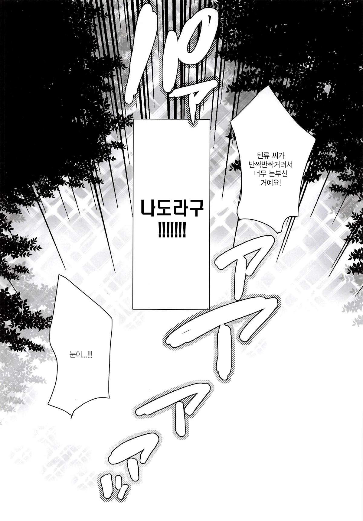 てんりゅうちゃんの作り