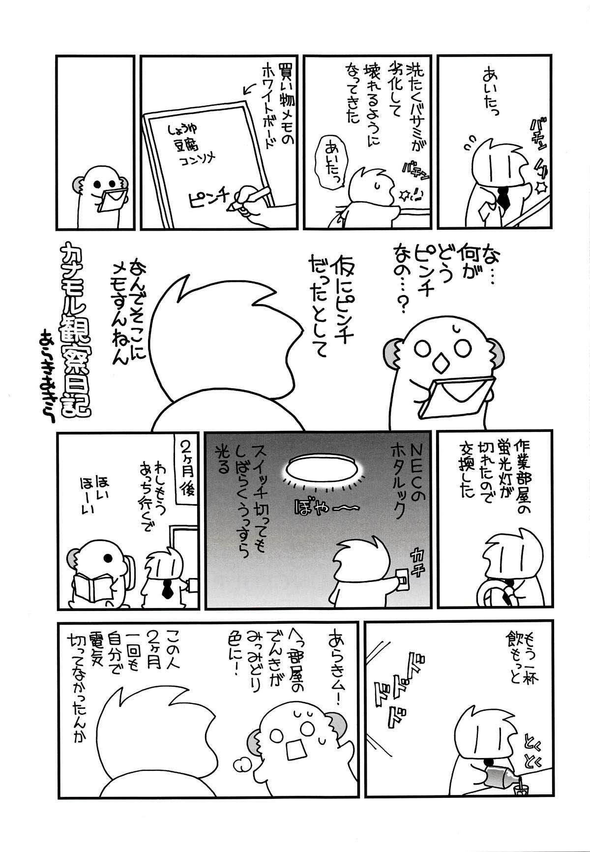 てんりゅうちゃんの作り