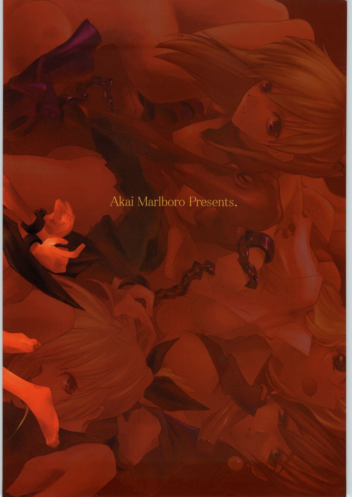 赤井サイクルII