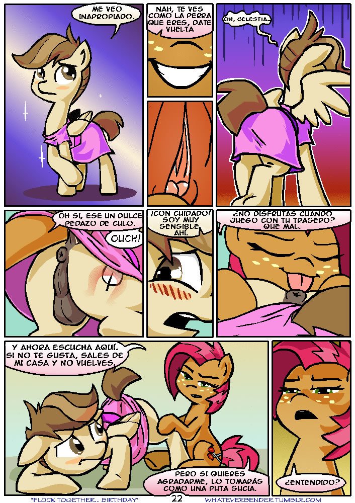 EllosseJuntaneCumpleaños