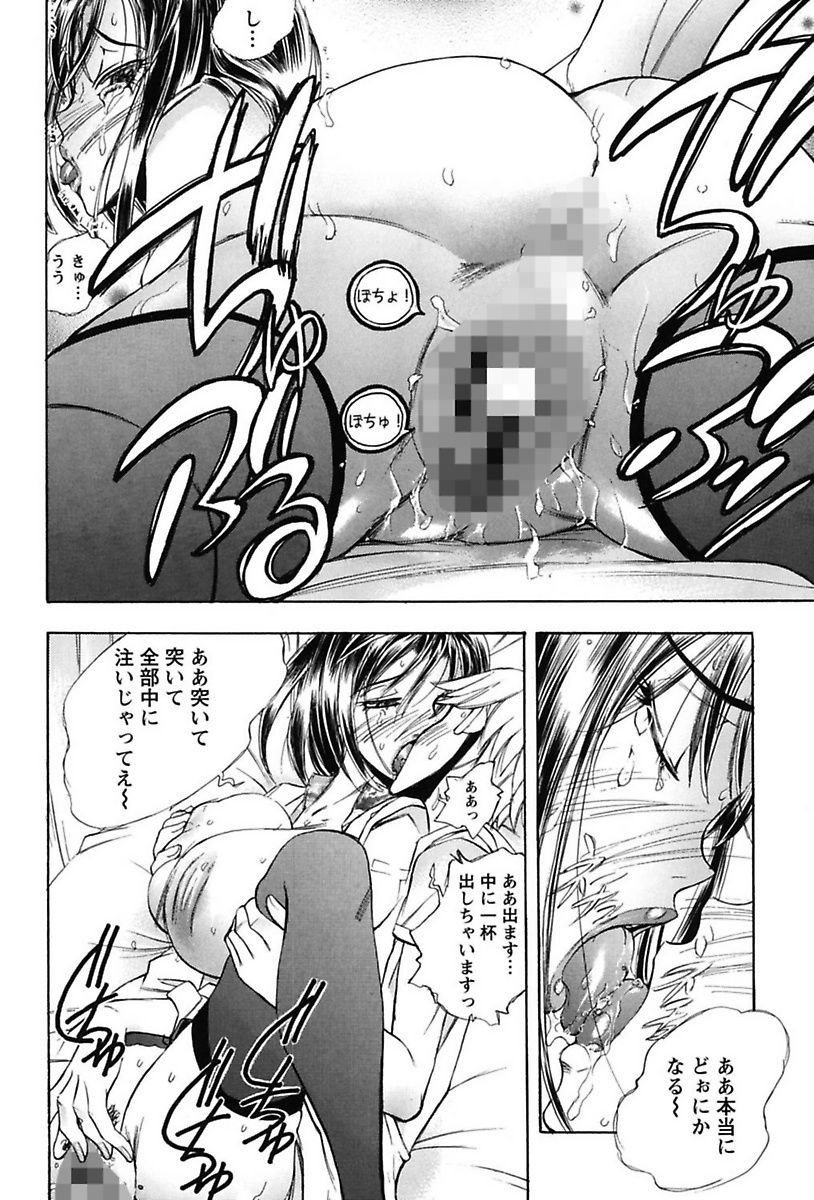 犬井矢戸-ひびきそうえようこそう-