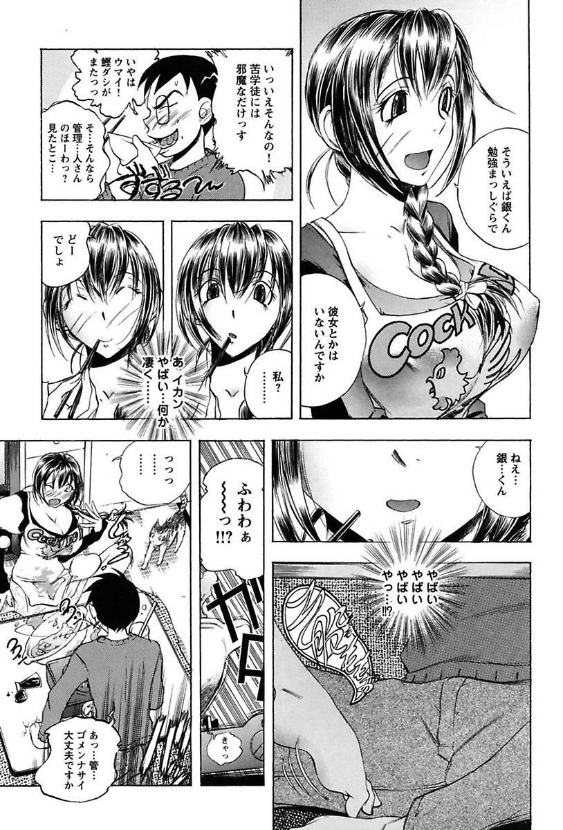 犬井矢戸-ひびきそうえようこそう-