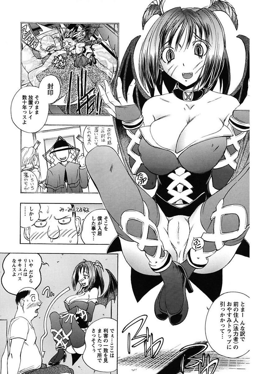 犬井矢戸-ひびきそうえようこそう-