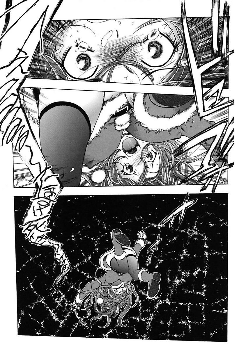 犬井矢戸-ひびきそうえようこそう-