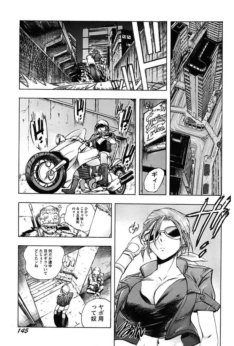 犬井矢戸-ひびきそうえようこそう-