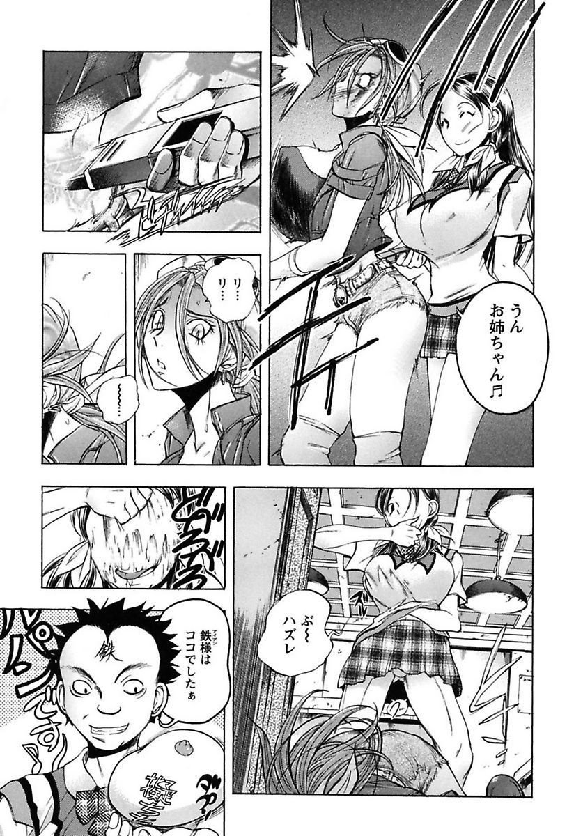 犬井矢戸-ひびきそうえようこそう-