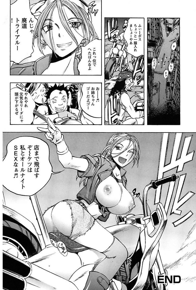 犬井矢戸-ひびきそうえようこそう-