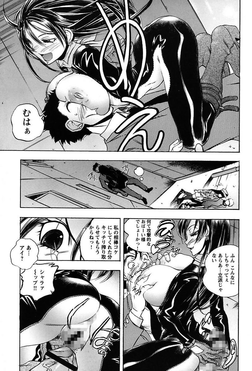 犬井矢戸-ひびきそうえようこそう-